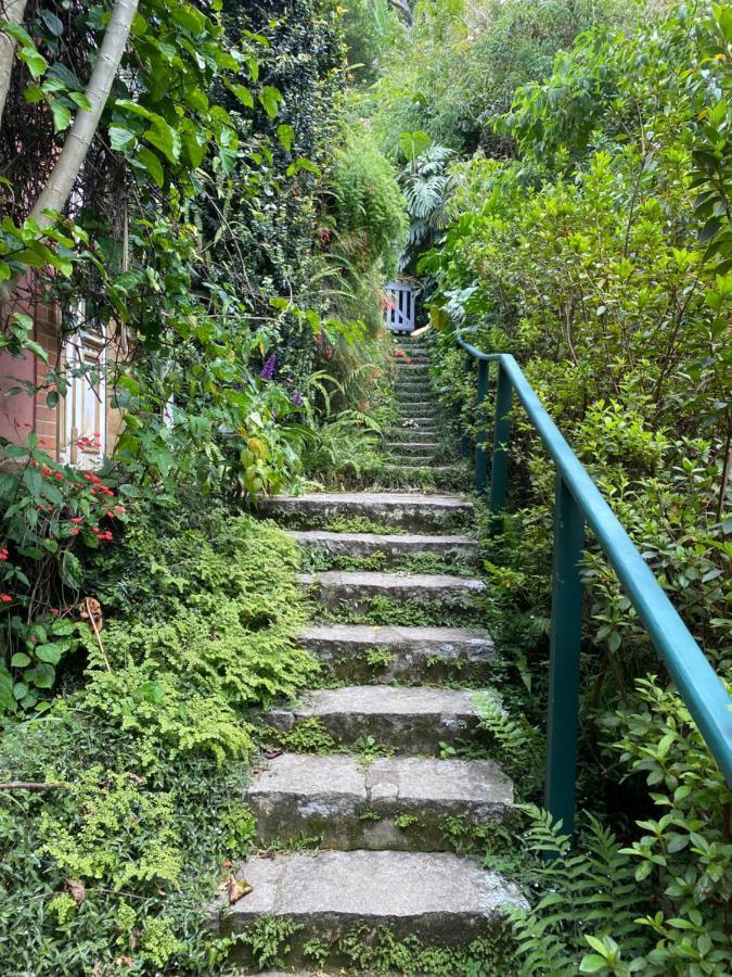 Villa Violeta Петрополис Экстерьер фото