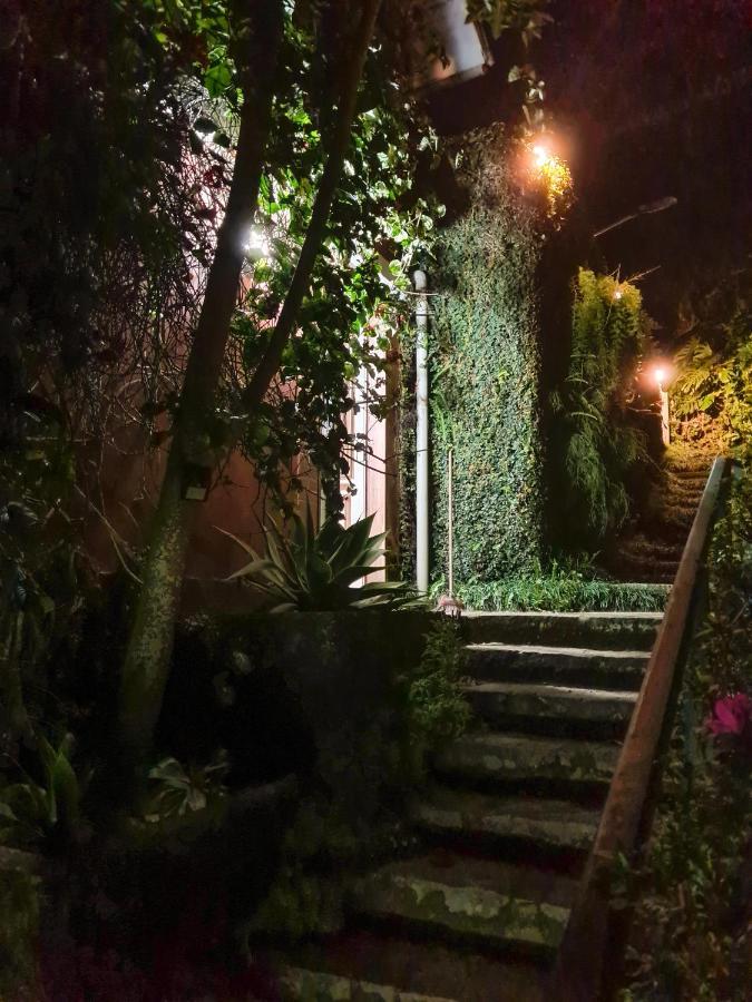 Villa Violeta Петрополис Экстерьер фото