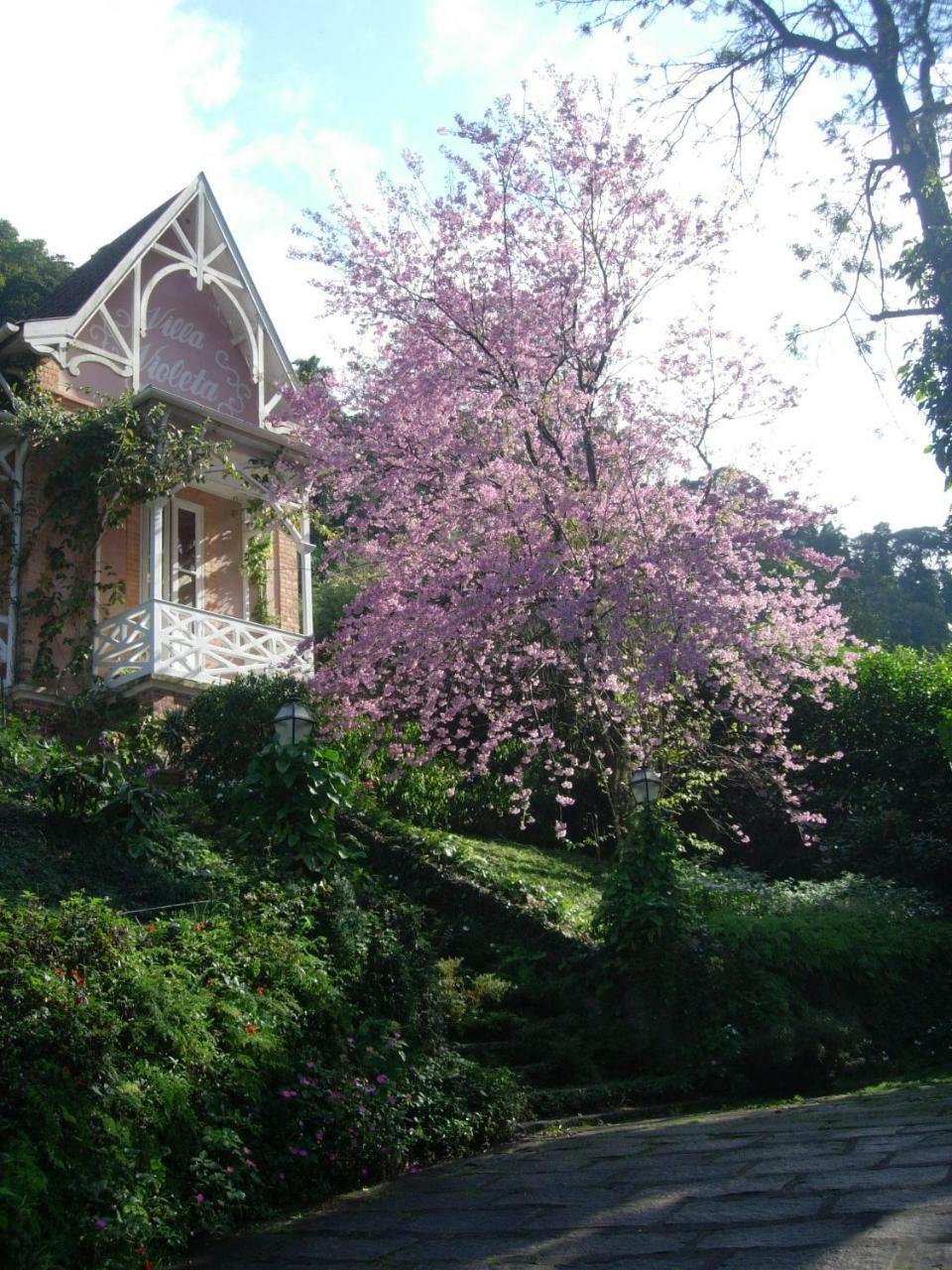 Villa Violeta Петрополис Экстерьер фото